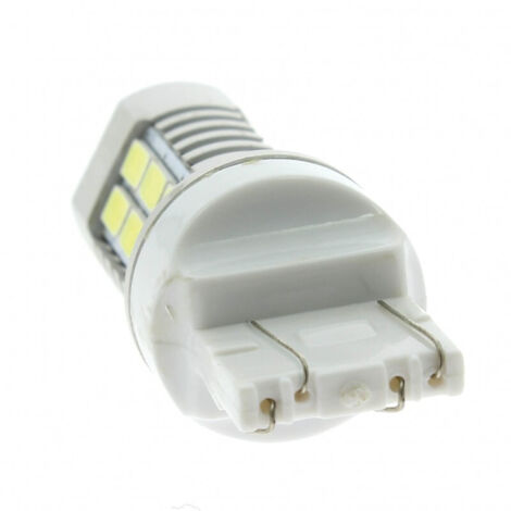 1 Ampoule LED 50W - 12 24V T20 360degres Double filaments Blanc - EvoFormance