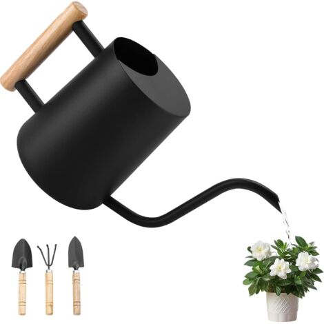 1 Arrosoir,Acier Inoxydable,Bec Long 18cm,Poignée Bois,Capacité 1L,Jardinage Intérieur