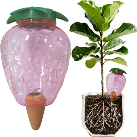 1 Boule Arrosage, 500 ML, Plastique Céramique, Automatique, Intérieur Extérieur