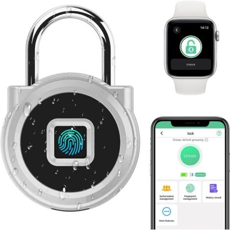 1 Cadenas Biométrique, Empreinte Digitale, Application Mobile, Code Numérique, Extérieur, Argenté