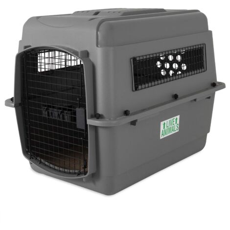 1 Caisse de transport, résine robuste, grille ventilation, serrure 4 points, gobelet inclus, chien chat avion