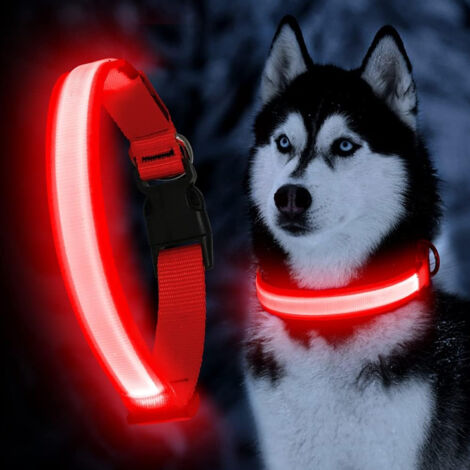 1 collier lumineux LED pour animaux de compagnie - modèle rechargeable code M