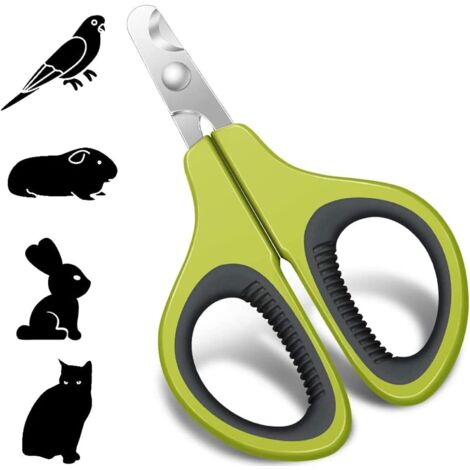 1 Coupe-Griffes Acier Inoxydable, Lame Semi-Circulaire, Poignée Antidérapante, Pour Chat Lapin Petit Animal