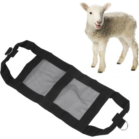 1 Écharpe de pesage, Nylon renforcé, Anneaux en D, Sangles réglables, Pour veau agneau chèvre alpaga