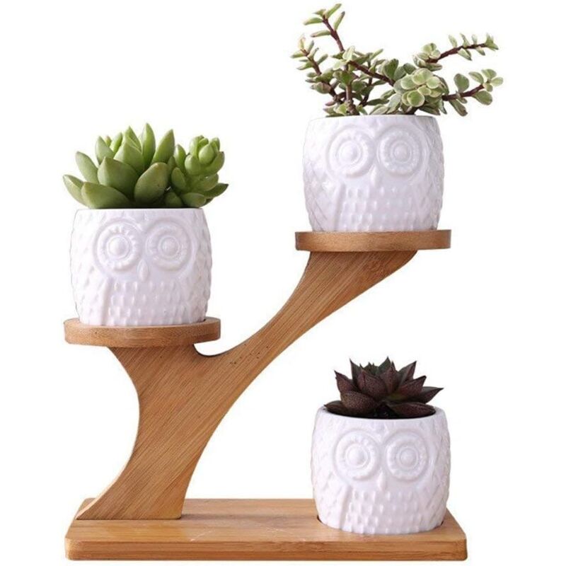1 Ensemble de chouette en céramique Pots de Fleur de Forme Rond /et Plateau de Bambou/Pots de Cactus/Plante en Pot/Cultiver 1 Paquet de 3