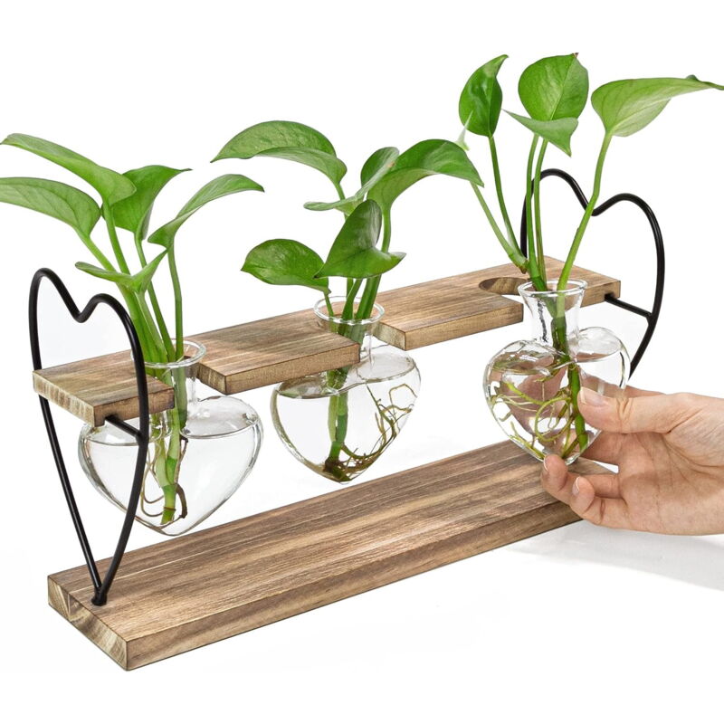 1 ensemble de plantes terrarium support en bois jardinière hydroponique table vase en verre coeur