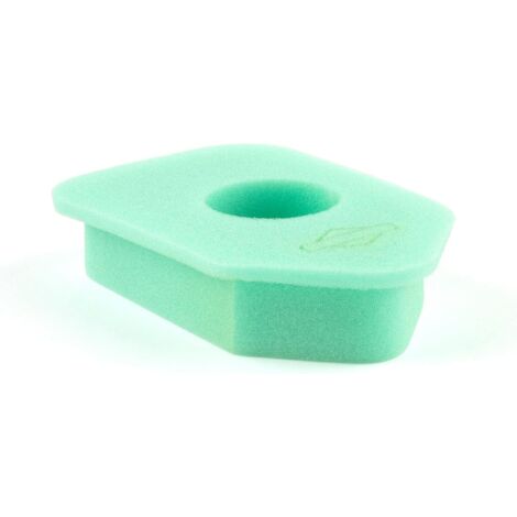 1 - Filtre à air - Mousse - Pour moteurs Briggs & Stratton - Protection contre saleté - Vert - 17,1 x 22,9 x 0,6 cm