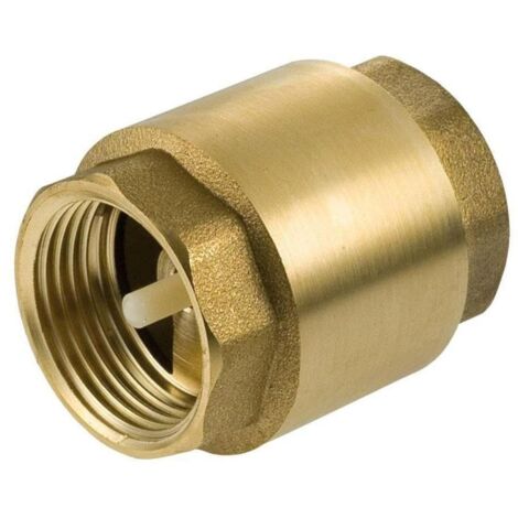 1" Inch BSP Brass Check Non-Return Valve Female With Plastic Insert
