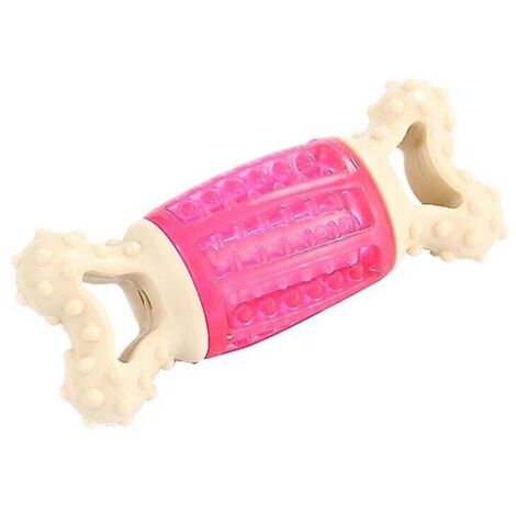 1 jouet pour chien