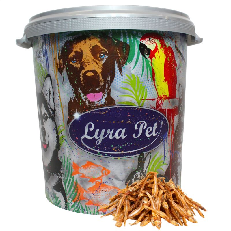 Lyra Pet - 5 kg de petits poissons ® en bac de 30 l