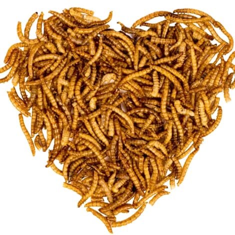 1 kg de vers de farine Lyra Pet® pour poissons d'ornement et de bassin