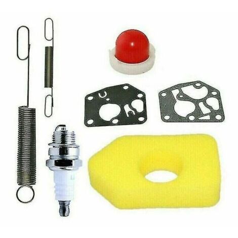 1 kit d'entretien tondeuse à gazon, filtre air Briggs Stratton Classic Sprint, joints et bougie, usage domestique et professionnel