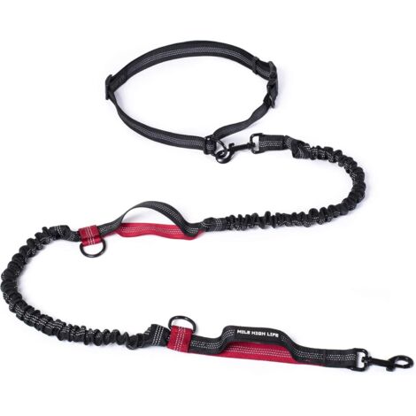 1 Laisse de course pour chien, ajustable, avec deux poignées rembourrées, élastique durable, réfléchissante, pour petits moyens grands chiens