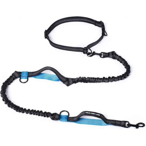 1 Laisse de course pour chien, ajustable, avec deux poignées rembourrées, élastique durable, réfléchissante, pour petits moyens grands chiens