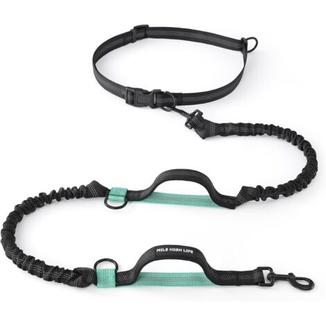 1 Laisse de Course pour Chien, Ajustable, Réfléchissante, Double Poignée, Élastique Durable, Petit Moyen Grand Chien