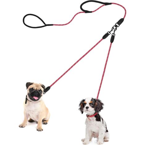 1 laisse double pour chien, corde d'escalade 0,8 cm, système anti-emmêlement, poignées rembourrées, pour chiens taille moyenne