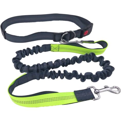 1 Laisse mains libres, Ceinture réglable 70-130cm, Laisse élastique 130-180cm, Nylon et Métal, pour jogging et marche