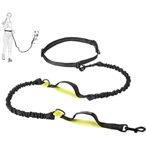 1 Laisse rétractable 2m, mains libres, réfléchissante, pour chien jusqu'à 50 kg, course extérieur