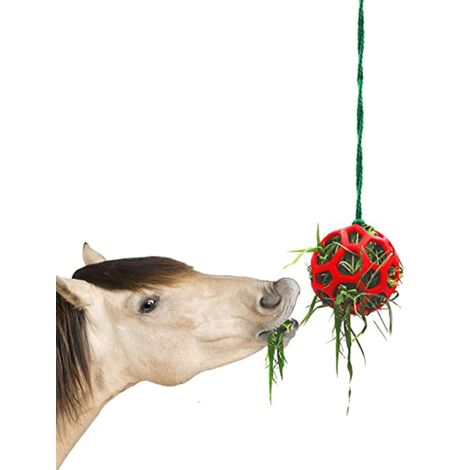 1 Pc Cheval Traiter Balle Mangeoire À Foin Jouet Chèvre Mangeoire Boule Suspendre Jouet d'alimentation pour Cheval Cheval Chèvre Mouton Soulager Le Stress, Cheval Stable Stand Paddock Rest
