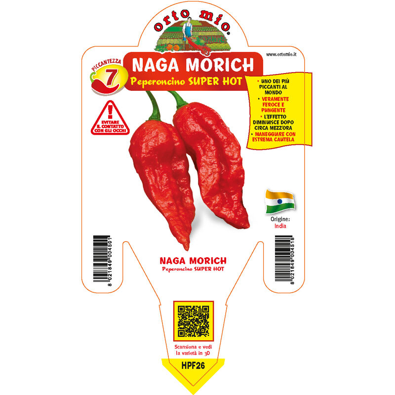 Ortomio - plante de piment naga morich (en pot ø 14CM)