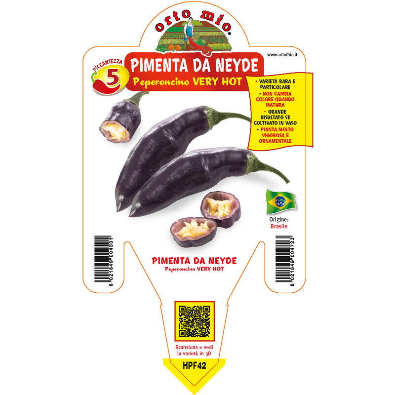 Ortomio - plante de piment pimienta de neide (en pot ø 14CM)