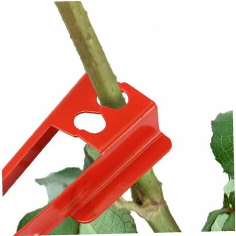 1 pince à épines de rose, outil de jardinage, outil pour enlever les bavures