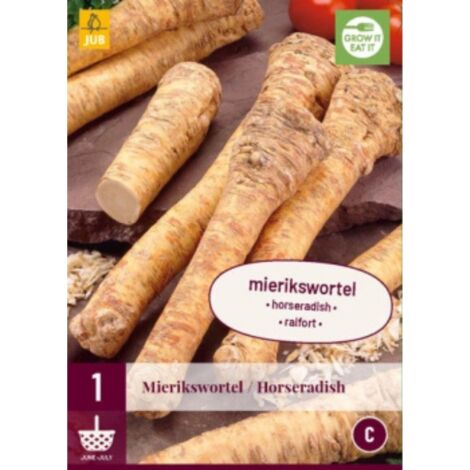 1 plant d'Armoracia Rusticana. . Marque : Jub. Réf. : 129020