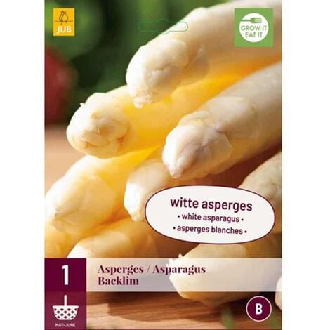 1 plant d'Asperge Backlim. . Marque : Jub. Réf. : 129040