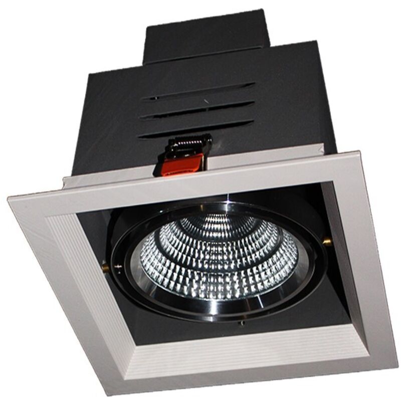 

1 proyector ajustable de 25W en blanco neutro