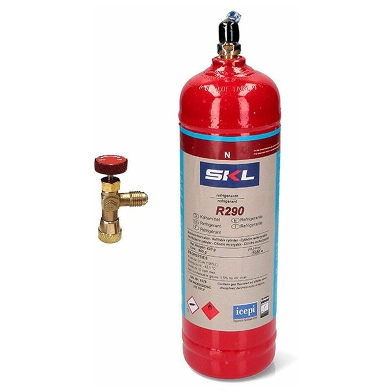 Reporshop - 1 bouteille de gaz réfrigérant R290 + 370gr Valve propane