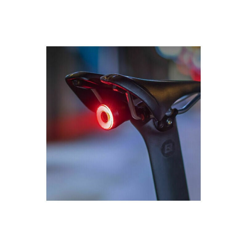 1 Set WR25 100lm Smart Brake Sensing Rücklicht Rennrad Mountainbike Fahrradlicht USB Laderücklicht Warnlicht | 07634066147947 1 Set WR25 100lm Smart Brake Sensing Rücklicht Rennrad Mountainbike Fahrradlicht USB Laderücklicht Warnlicht | 07634066147947