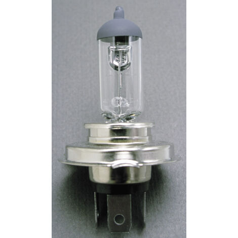 10 Ampoules H4 - 12V 5560W 3300K - P43T - 