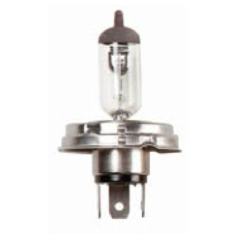 10 Ampoules H4 P45T 60-55w 12V - Code europeen