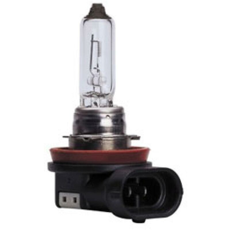 10 Ampoules Standards H11 55W 12V PGJ19-2 -