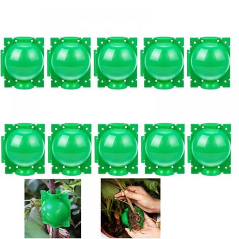 10 bolas de enraizamiento para plantas - Caja de injerto para jardín - Caja de enraizamiento para plántulas - Bolas de plántulas - 8 cm, verde