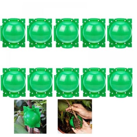 10 boules d'enracinement pour plantes - Boîte de greffe de jardin - Boîte d'enracinement pour semis - Boules de semis - 5 cm, vert