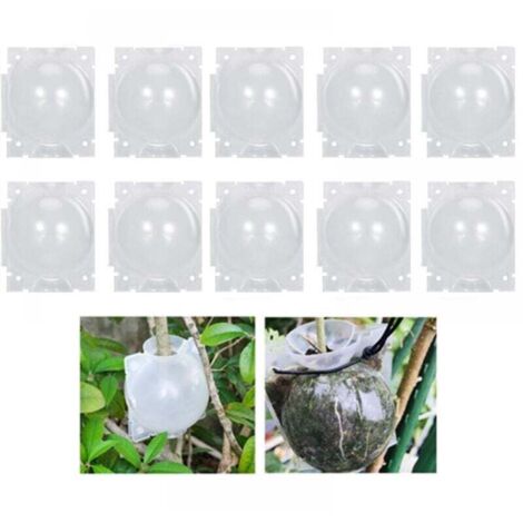 10 boules d'enracinement pour plantes - Boîte de greffe de jardin - Boîte d'enracinement pour semis - Boules de semis - 8 cm, Transparent