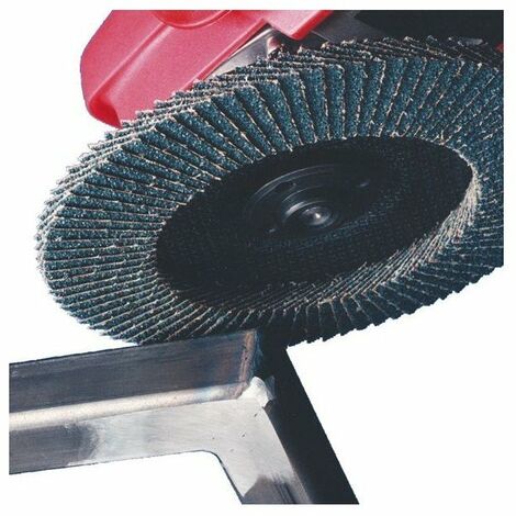 10 Disque A Lamelle Rb48024 X Inclinee Abr Zirc  Diam125 Al 22gr120 - Eb