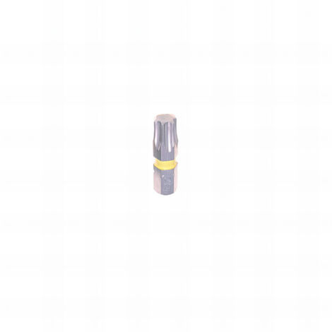 10 Embouts Bague Torx longueur : 25mm - TX27
