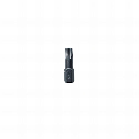 10 embouts forge torx longueur : 25 - TX25