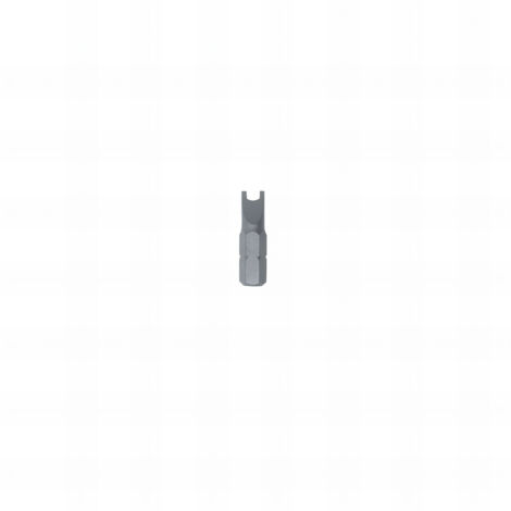 10 Embouts Spanner Intensif L : 25 mm - SP10