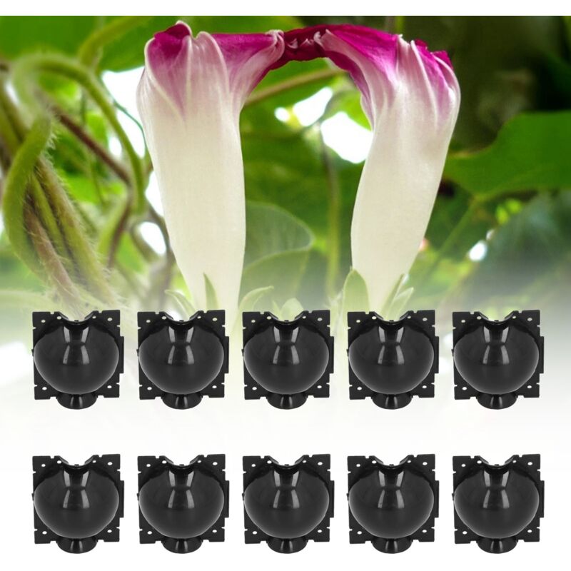 10 ensembles de 12 cm de dispositif d'enracinement de plantes, boîte de greffage de boule de propagation haute pression, noir,DUBUNS