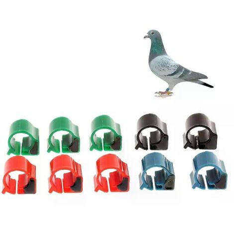 10 étiquettes RFID électroniques pour le suivi des oiseaux (pigeons, poulets, canards)