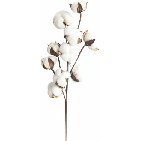 10 fleurs de coton séchées, branches de kapok, fleurs éternelles séchées,  accessoires de décoration de bouquet de bricolage en coton séché à la main,  blanc,HANBING