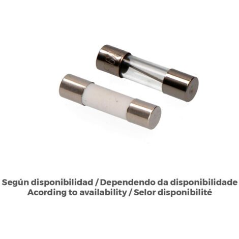 10 Fusibili 5x20mm 6A Edm