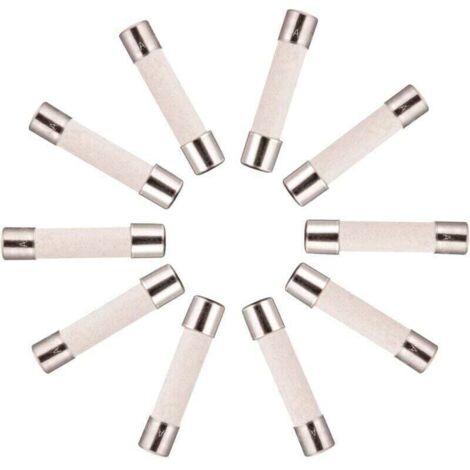 10 fusibles cerámicos de retardo (T) 10 A/250 V CA 5 x 20 mm