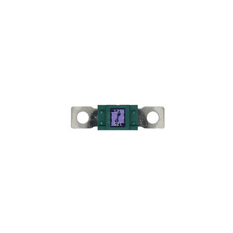 10 Fusibles Magnum 125A
