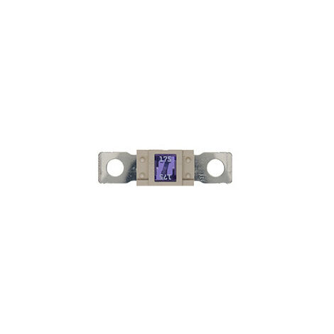 10 Fusibles Magnum 175A