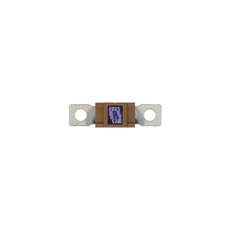10 Fusibles Magnum 225A