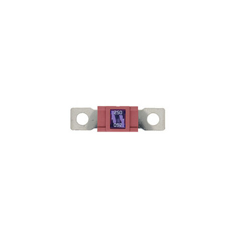 10 Fusibles Magnum 250A